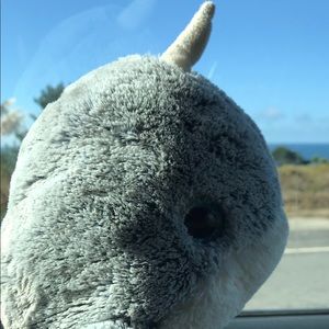 Meet your Posher, Colleen